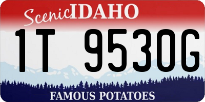 ID license plate 1T9530G