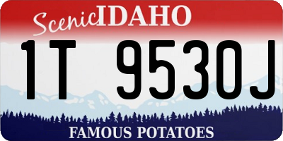 ID license plate 1T9530J