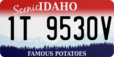 ID license plate 1T9530V