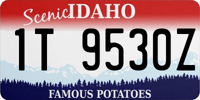 ID license plate 1T9530Z