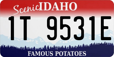 ID license plate 1T9531E