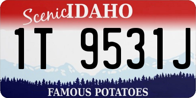 ID license plate 1T9531J