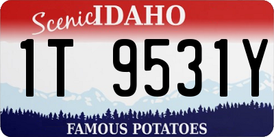 ID license plate 1T9531Y