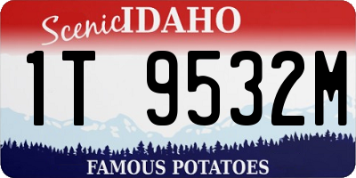 ID license plate 1T9532M