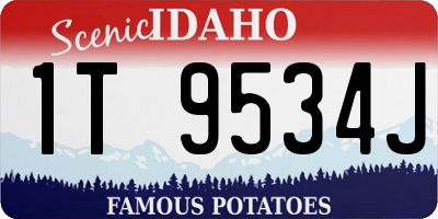 ID license plate 1T9534J