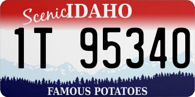 ID license plate 1T9534O