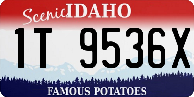 ID license plate 1T9536X