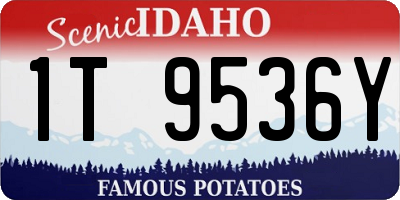 ID license plate 1T9536Y
