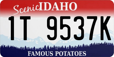 ID license plate 1T9537K