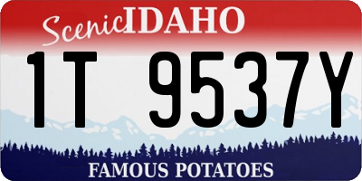 ID license plate 1T9537Y