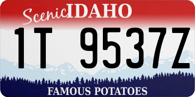 ID license plate 1T9537Z