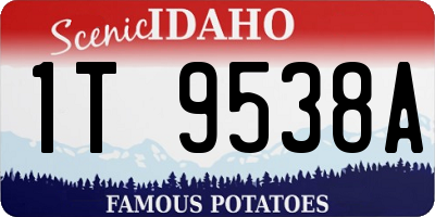 ID license plate 1T9538A