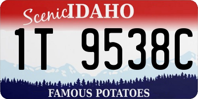 ID license plate 1T9538C