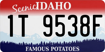 ID license plate 1T9538F