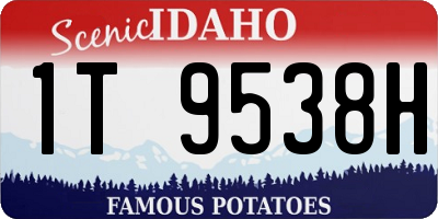 ID license plate 1T9538H