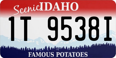ID license plate 1T9538I