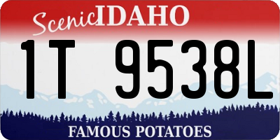 ID license plate 1T9538L