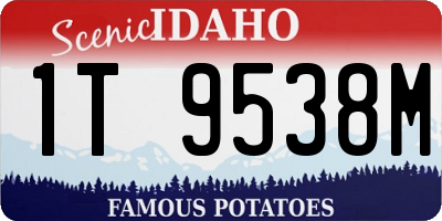 ID license plate 1T9538M