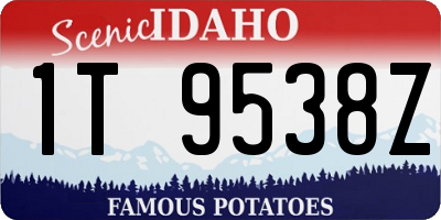 ID license plate 1T9538Z