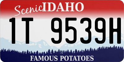 ID license plate 1T9539H