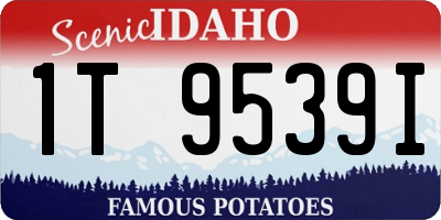 ID license plate 1T9539I