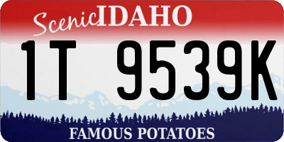 ID license plate 1T9539K