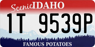ID license plate 1T9539P