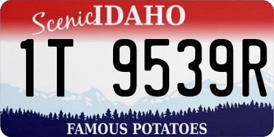 ID license plate 1T9539R