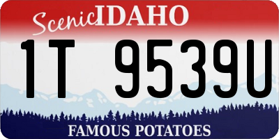 ID license plate 1T9539U