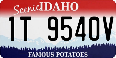 ID license plate 1T9540V