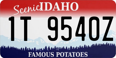 ID license plate 1T9540Z