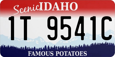 ID license plate 1T9541C