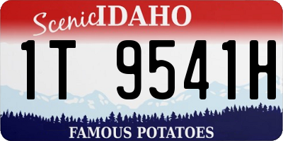 ID license plate 1T9541H