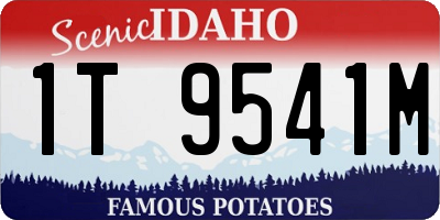 ID license plate 1T9541M