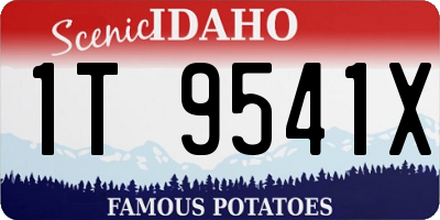 ID license plate 1T9541X