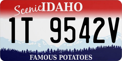 ID license plate 1T9542V