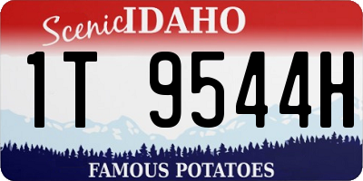 ID license plate 1T9544H