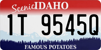 ID license plate 1T9545Q