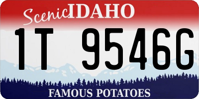ID license plate 1T9546G