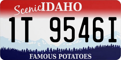 ID license plate 1T9546I