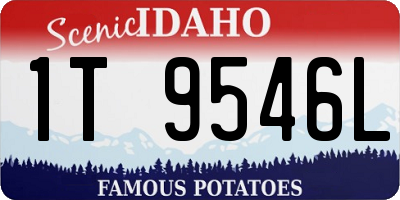 ID license plate 1T9546L