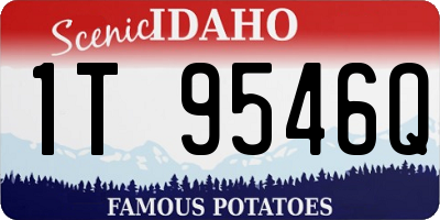 ID license plate 1T9546Q