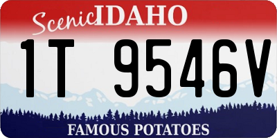 ID license plate 1T9546V