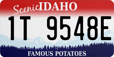 ID license plate 1T9548E