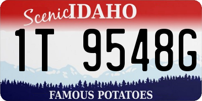 ID license plate 1T9548G