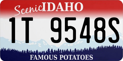 ID license plate 1T9548S