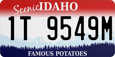ID license plate 1T9549M