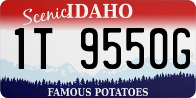 ID license plate 1T9550G
