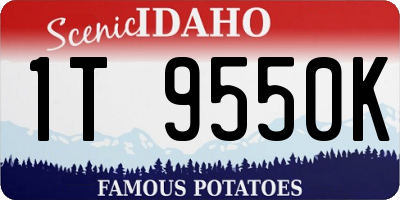 ID license plate 1T9550K
