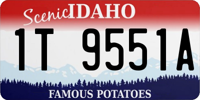 ID license plate 1T9551A